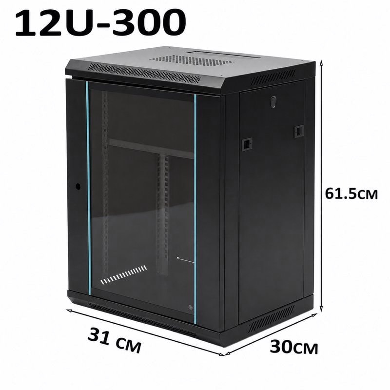 12U Black Server Rack Data Network Cabinet - Wall/Floor Mounted, Lockable, image 1